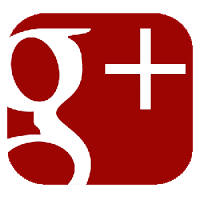 Google+ icon