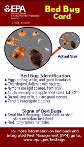 EPA bed bug general card draft final 5-2-12