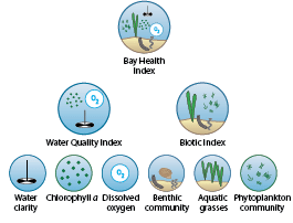 Indicator Selection Diagram