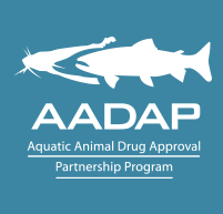 aadap logo