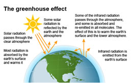 Image of the Earth showing the steps involved in the Greenhouse Effect. 1. Solar radiation passes through the clear atmosphere.  2. Most radiation is absorbed by the Earth's surface and warms it.  3. Some solar radiation is reflected by the Earth and the atmosphere.  4. Some of the infrared radiation passes through the atmosphere, and some is absorbed and re-emitted in all directions by greenhouse gas molecules. The effect of this is to warm the Earth's surface and the lower atmosphere.  5. Infrared radiation is emitted from the Earth's surface.