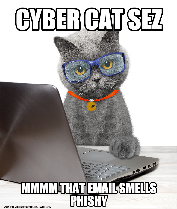 The NIST Cyber Cat is very wise, and furry. Credit: Olga Bilevich/shutterstock.com/F. Webber/NIST