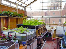 Aquaponics system