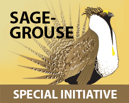 Sage-Grouse Initiative