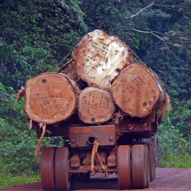logging truck in Central Africa. Credit: Dirck Byler/ USFWS