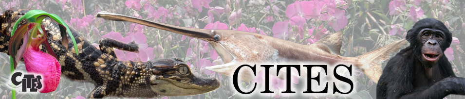 Convention on the International Trade in Endangered Species (CITES) banner