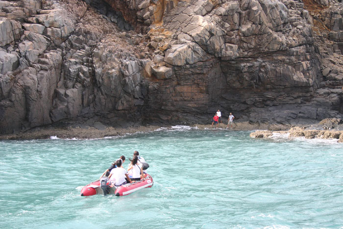 sea turtle volunteers