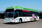 Zero Emission Bay Area (ZEBA) -- a group of regional transit agencies in Northern California -- operates twelve, zero-emission, fuel cell buses in real-world service throughout the Bay Area’s diverse communities and landscapes.  | Photo courtesy of Leslie Eudy, NREL.