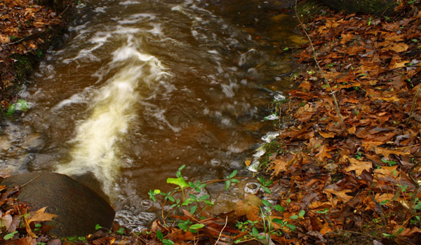 Stormwater flows from a large pipe. 