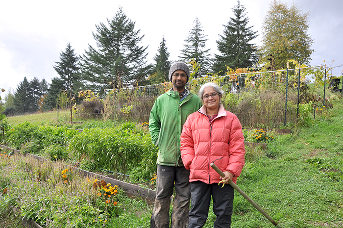 Ganesh and Lakshmi sell most of their produce to a local Indian grocery store and to families signed up for their mailing list, much like a payas- you-go Community Supported Agriculture.