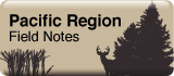 Pacific Region Field Notes