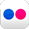 Flickr Icon