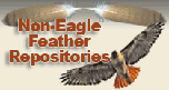 Non eagle feather repository