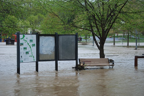 Image of a flooded local park