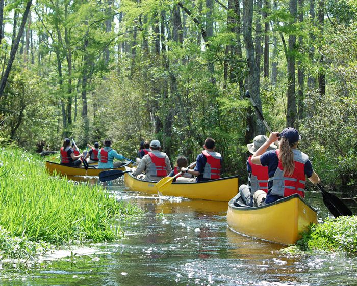 A group of canoers navigates a narrow stream