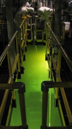 This photo shows the inside the K West Basin facility, where workers are retrieving highly radioactive sludge material under 17 feet of water.