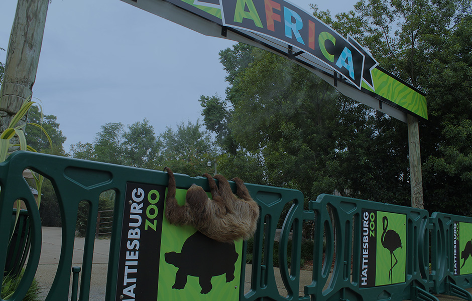 dallas zoo crowd control