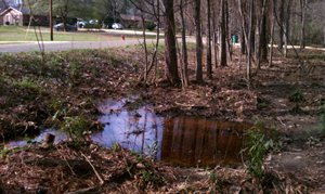 Standing Sewage in Lowndes County, Alabama