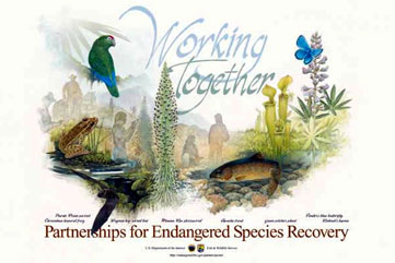 Endangered Species Habitat Recovery poster image.