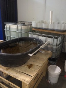 Aquaponic Research Setup - Emily Nusz