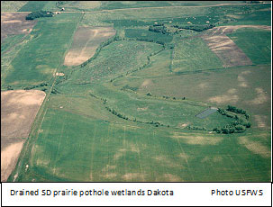 Drained SD prairie pothole wetlands Dakota Photo: USFWS