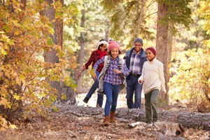 Family enjoying a hike in the woods.