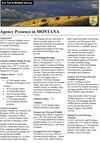 Montana Congressional Fact Sheet icon