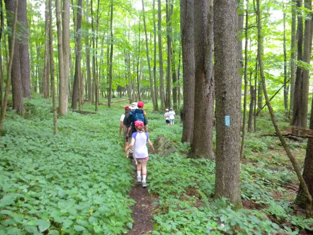 Taking a hike at Worlds End State Park