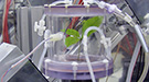 PhytoPET plant imaging system.