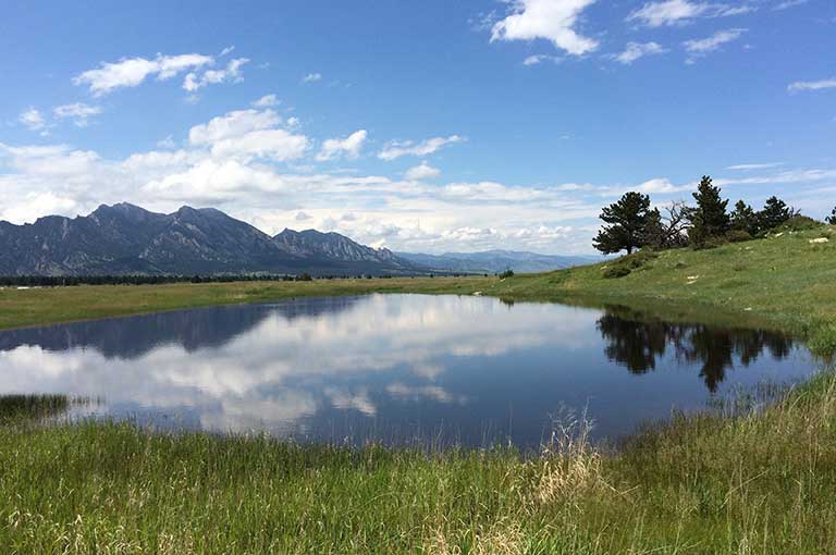 A photo of a pond in a grassy area with mountains in the background.