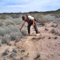 In the Southwestern Desert.