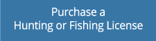 Purchase an Iowa hunting or fishing license