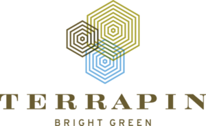 Terrapin Bright Green