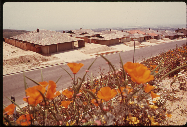 DOCUMERICA: Flowers planted around spyglass homes built on a terraced hillside [Southern California], May 1975, by Charles O'Rear.