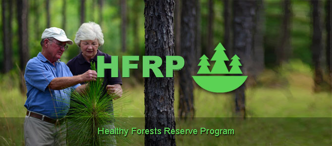 2014 fb hfrp landing page banner