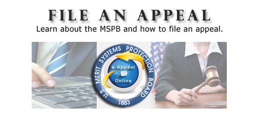 File an Appeal