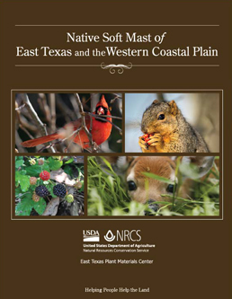 Cover of Native Soft Mast of East Texas and the Western Coastal Plain