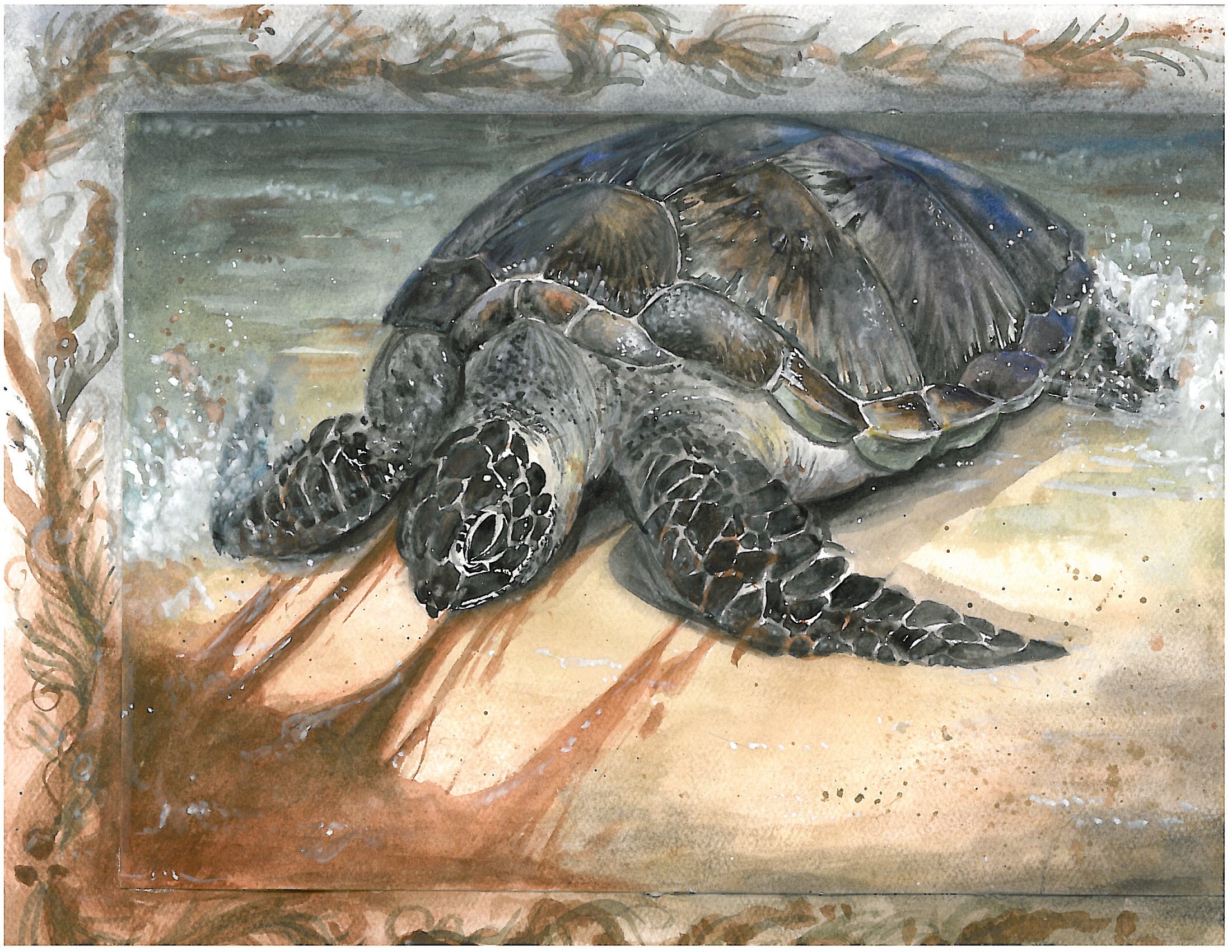 Painting of a green sea turtle by Amy Cheu, San Diego, CA (grades 9-12).