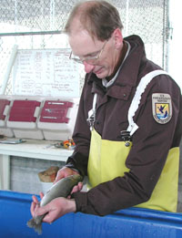 Jay Bigelow with Lahontan cutthroattrout at Lahontan National Fish Hachery.