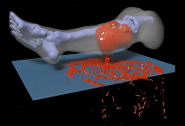 Office of Naval Research-sponsored researchers at the University of California Los Angeles (UCLA) have designed the first detailed computer simulation model of how an injured human leg bleeds. (Still image from a YouTube video provided by the team at UCLA's Center for Advanced Surgical and Interventional Technology.)

