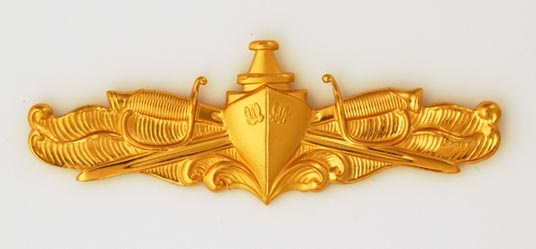 Surface Warfare (Officer) pin.

