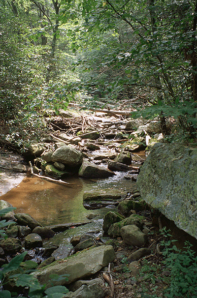 Photo by U.S. Fish & Wildlife Service