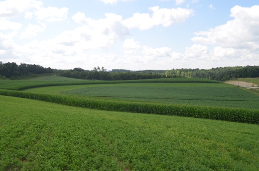 A landscape photo of a contour strip.