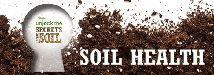 Soil Health banner - unlock the secrets of the soil