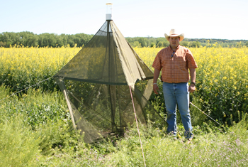 Allen Casey checks malaise trap for collecting flying insects trapped at PMC.
