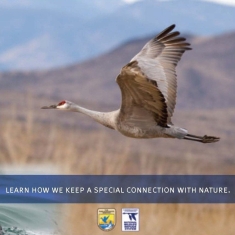 sandhill crane - cover of PSA package