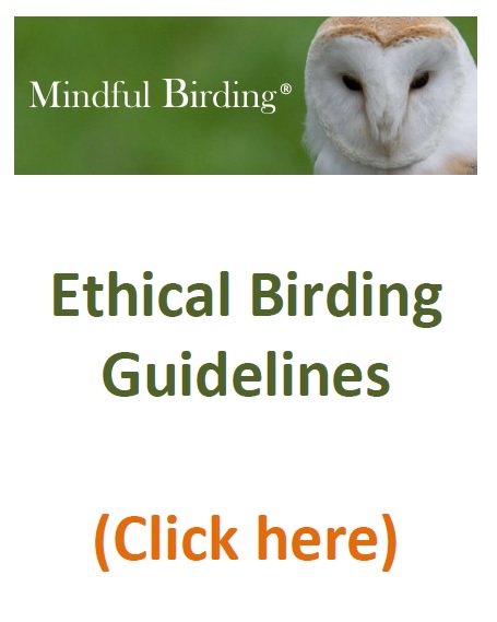 guidelines image