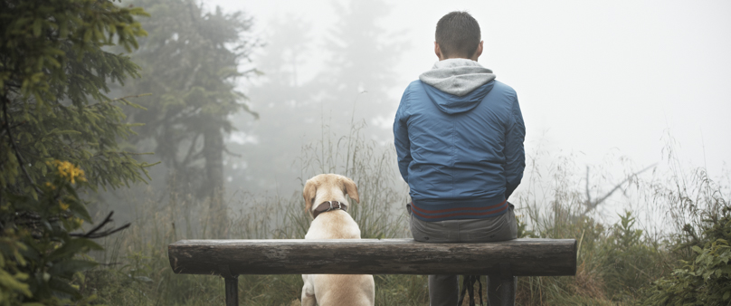 Photo of a man sitting on a bench in the forest with his yellow lab dog sitting next to him. 