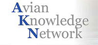 Avian Knowledge Network