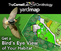 YardMap screenshot